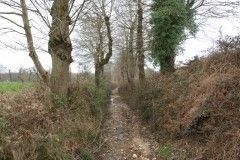 Photo de l'ancien chemin menant au pont de "Putain", Le Crouais (Ille et Vilaine, 35) Photo de l'ancien chemin menant au pont de "Putain", Le Crouais (Ille et Vilaine, 35)