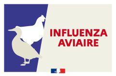 Prévention grippe aviaire